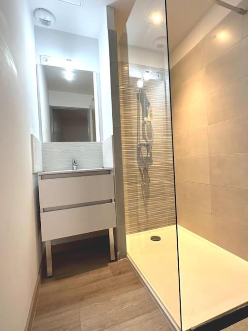 Appartement Centre Ville - Parking Prive - Wifi นีมส์ ภายนอก รูปภาพ